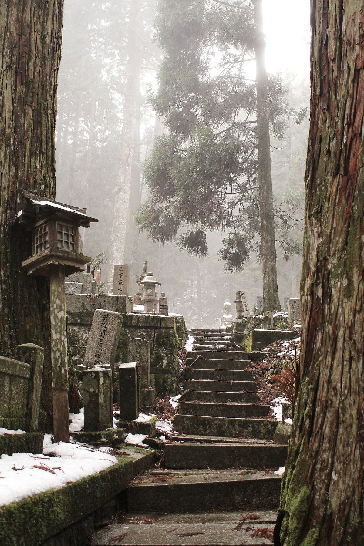 Misty stone steps rising between ancient cedar trunks and moss-covered grave markers at Okunoin cemetery, Koya-san