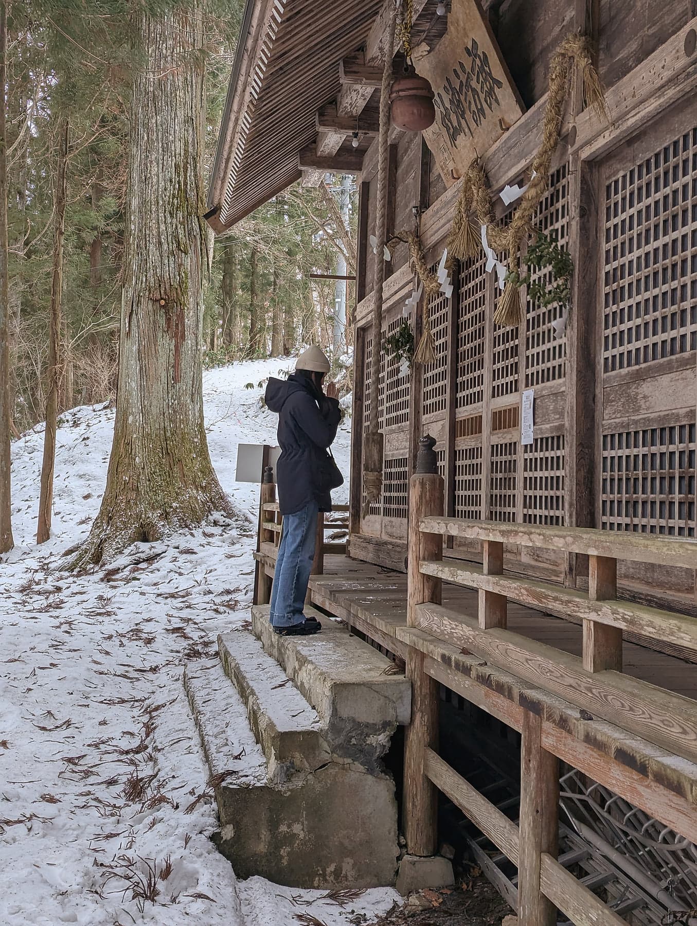 Rieko in a dark coat and white hat standing in prayer at a wooden shrine building with shimenawa rope and shide streamers, snow on the ground and ancient cedars behind