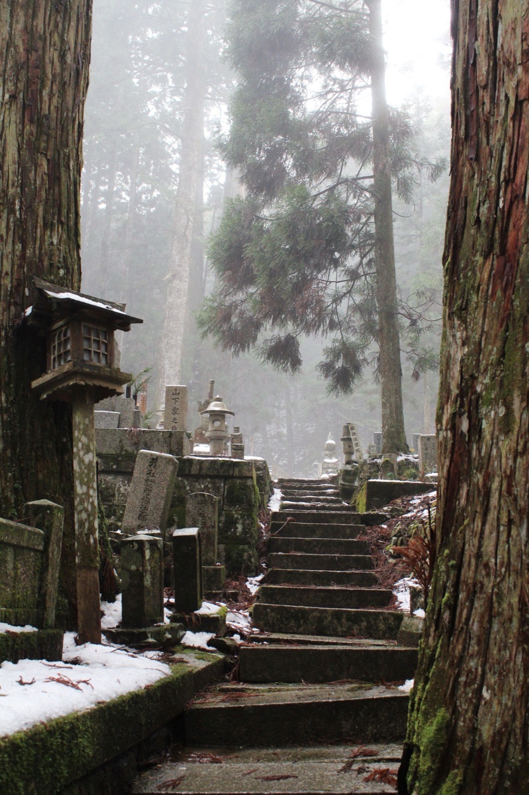 Misty stone steps rising between ancient cedar trunks and moss-covered grave markers at Okunoin cemetery, Koya-san
