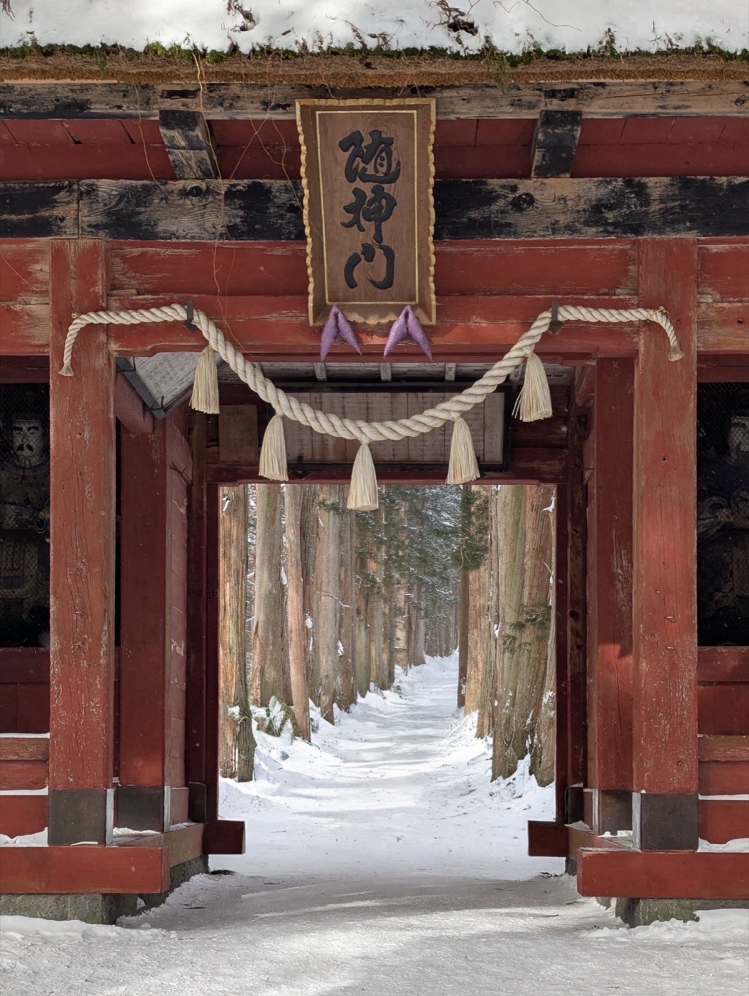 The red zuijinmon gate of Togakushi Shrine with shimenawa rope, framing a snow-covered path lined with ancient cedar trees receding into the distance